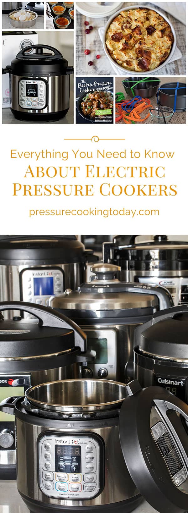 Want to learn how to use an Instant Pot or other multicooker? Here\'s everything you need to know about electric pressure cookers, plus reviews and recipes!