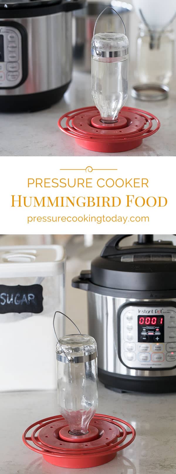 Hummingbird food is super easy to make, and making it in the pressure cooker is even easier. 