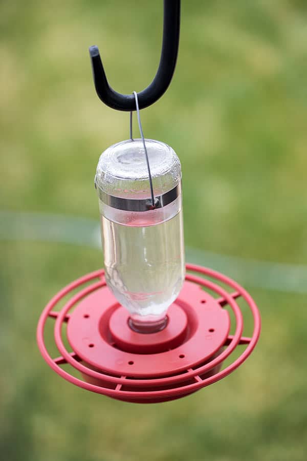 I bought a shepherd\'s hook at the garden store to hang my hummingbird feeder on in my back yard.
