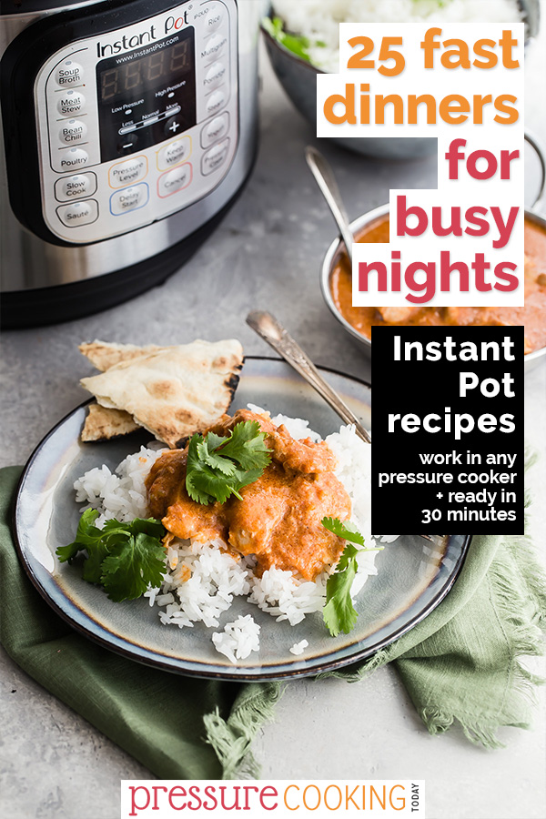 Pinterest Image 25 Fast Dinners for Busy Nights with Indian Butter Chicken in the background