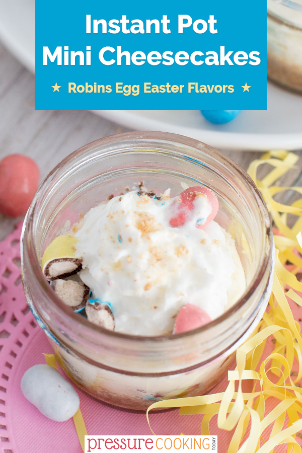 Robin Eggs Pressure Cooker Mini Cheesecakes have rich, creamy New York style cheesecake batter loaded with colorful Easter malted milk ball candies. A fun Instant Pot mini cheesecake recipe just in time for #Easter. #pressurecooker #instantpot #cheesecake #recipe via @PressureCook2da