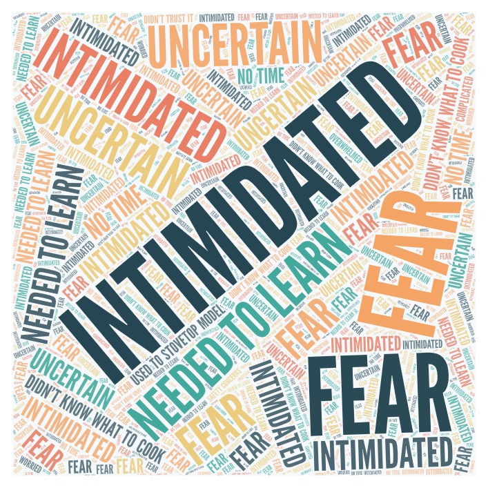 a word cloud devised from people who took the Instant Pot survey about why they took time to finish it. Big bold words like "Intimidated" and "fear" and "uncertain" are prominently displayed