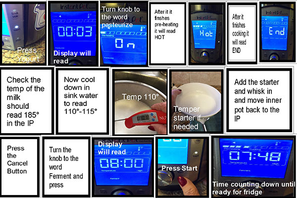Collage of instructions on How To Make Yogurt in the Duo Evo Plus Collage